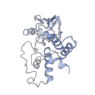 26037_7tos_S04_v1-2
E. coli 70S ribosomes bound with the ALS/FTD-associated dipeptide repeat protein PR20