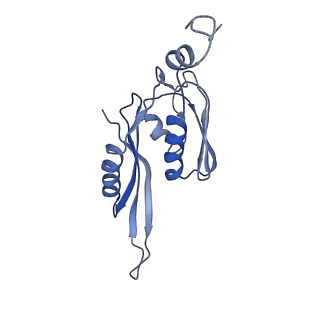 26037_7tos_S05_v1-1
E. coli 70S ribosomes bound with the ALS/FTD-associated dipeptide repeat protein PR20