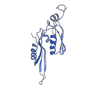 26037_7tos_S05_v1-2
E. coli 70S ribosomes bound with the ALS/FTD-associated dipeptide repeat protein PR20