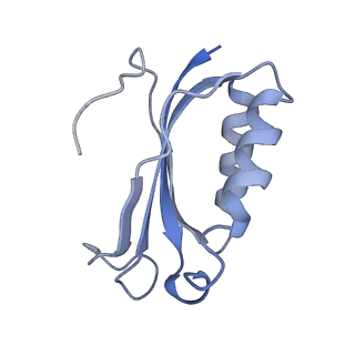 26037_7tos_S06_v1-1
E. coli 70S ribosomes bound with the ALS/FTD-associated dipeptide repeat protein PR20