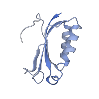 26037_7tos_S06_v1-2
E. coli 70S ribosomes bound with the ALS/FTD-associated dipeptide repeat protein PR20