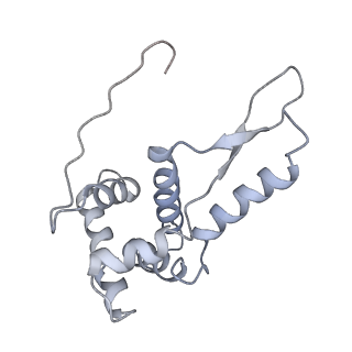 26037_7tos_S07_v1-1
E. coli 70S ribosomes bound with the ALS/FTD-associated dipeptide repeat protein PR20