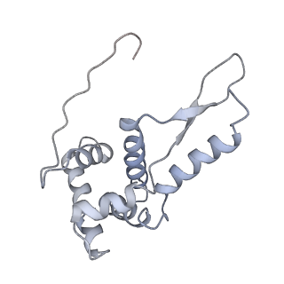 26037_7tos_S07_v1-2
E. coli 70S ribosomes bound with the ALS/FTD-associated dipeptide repeat protein PR20