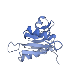 26037_7tos_S08_v1-1
E. coli 70S ribosomes bound with the ALS/FTD-associated dipeptide repeat protein PR20