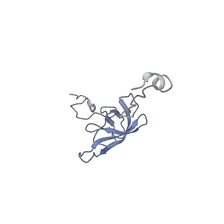 26037_7tos_S12_v1-2
E. coli 70S ribosomes bound with the ALS/FTD-associated dipeptide repeat protein PR20