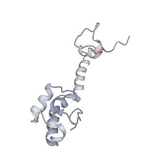 26037_7tos_S13_v1-1
E. coli 70S ribosomes bound with the ALS/FTD-associated dipeptide repeat protein PR20