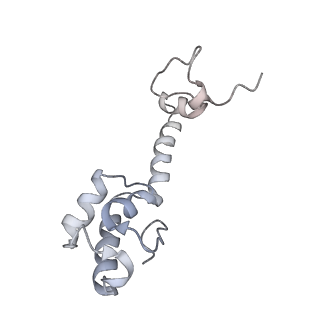 26037_7tos_S13_v1-2
E. coli 70S ribosomes bound with the ALS/FTD-associated dipeptide repeat protein PR20