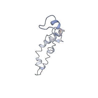 26037_7tos_S14_v1-2
E. coli 70S ribosomes bound with the ALS/FTD-associated dipeptide repeat protein PR20