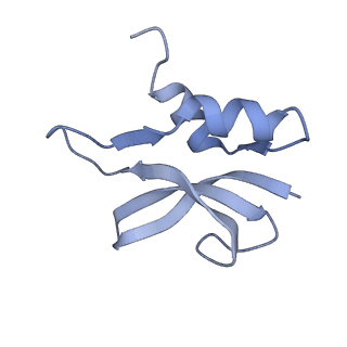 26037_7tos_S16_v1-1
E. coli 70S ribosomes bound with the ALS/FTD-associated dipeptide repeat protein PR20