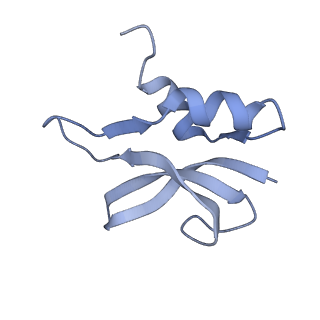 26037_7tos_S16_v1-2
E. coli 70S ribosomes bound with the ALS/FTD-associated dipeptide repeat protein PR20