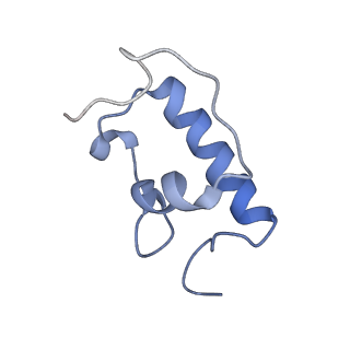 26037_7tos_S18_v1-1
E. coli 70S ribosomes bound with the ALS/FTD-associated dipeptide repeat protein PR20