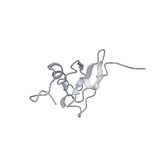 26037_7tos_S19_v1-1
E. coli 70S ribosomes bound with the ALS/FTD-associated dipeptide repeat protein PR20