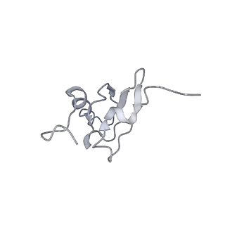 26037_7tos_S19_v1-2
E. coli 70S ribosomes bound with the ALS/FTD-associated dipeptide repeat protein PR20