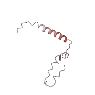 26037_7tos_S21_v1-1
E. coli 70S ribosomes bound with the ALS/FTD-associated dipeptide repeat protein PR20