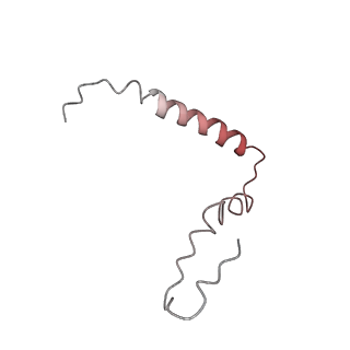 26037_7tos_S21_v1-2
E. coli 70S ribosomes bound with the ALS/FTD-associated dipeptide repeat protein PR20