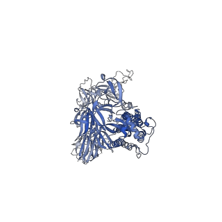 26040_7tox_B_v1-2
Delta (B.1.617.2) SARS-CoV-2 variant spike protein (S-GSAS-Delta) in the 3-RBD-down conformation; Subclassification D5 state