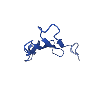 41442_8tob_DB_v1-0
Acinetobacter GP16 Type IV pilus