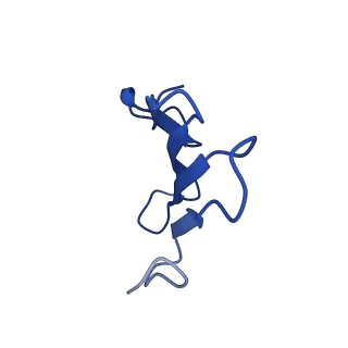 41442_8tob_EB_v1-0
Acinetobacter GP16 Type IV pilus