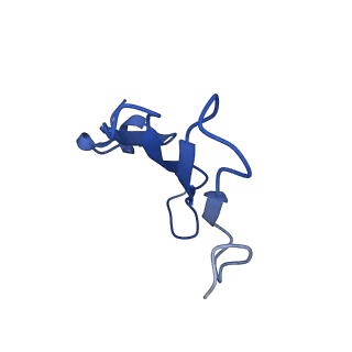 41442_8tob_HB_v1-0
Acinetobacter GP16 Type IV pilus