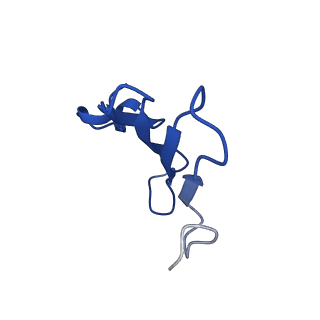 41442_8tob_LB_v1-0
Acinetobacter GP16 Type IV pilus