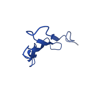 41442_8tob_OB_v1-0
Acinetobacter GP16 Type IV pilus