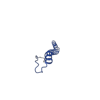 41442_8tob_QA_v1-0
Acinetobacter GP16 Type IV pilus