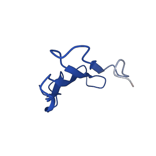 41442_8tob_SB_v1-0
Acinetobacter GP16 Type IV pilus