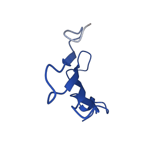 41442_8tob_VB_v1-0
Acinetobacter GP16 Type IV pilus