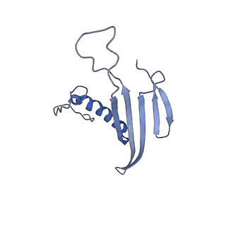 41443_8toc_AB_v1-0
Acinetobacter phage AP205