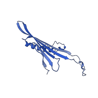 41443_8toc_AG_v1-0
Acinetobacter phage AP205