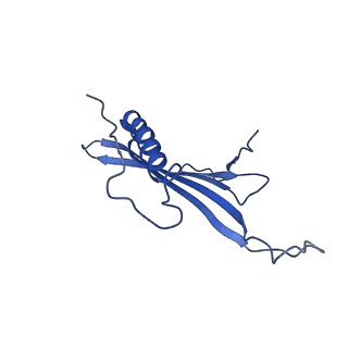 41443_8toc_AP_v1-0
Acinetobacter phage AP205