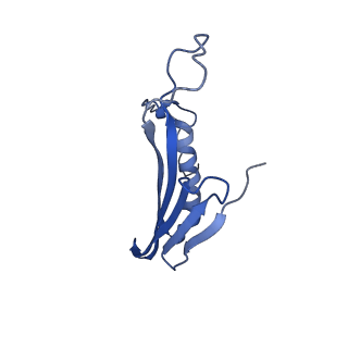 41443_8toc_AT_v1-0
Acinetobacter phage AP205