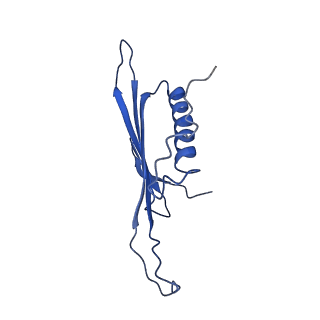 41443_8toc_AV_v1-0
Acinetobacter phage AP205