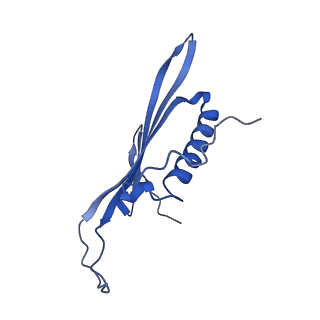 41443_8toc_AX_v1-0
Acinetobacter phage AP205