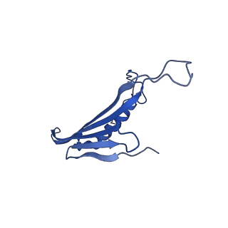 41443_8toc_AY_v1-0
Acinetobacter phage AP205