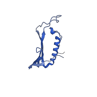 41443_8toc_BA_v1-0
Acinetobacter phage AP205