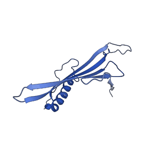 41443_8toc_BE_v1-0
Acinetobacter phage AP205