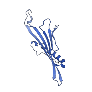 41443_8toc_BI_v1-0
Acinetobacter phage AP205