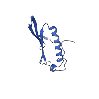 41443_8toc_BJ_v1-0
Acinetobacter phage AP205