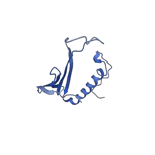 41443_8toc_BL_v1-0
Acinetobacter phage AP205