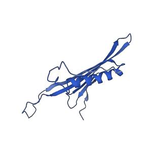 41443_8toc_BN_v1-0
Acinetobacter phage AP205