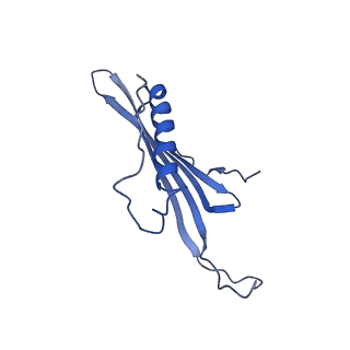 41443_8toc_BP_v1-0
Acinetobacter phage AP205