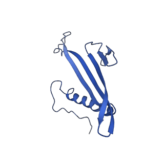 41443_8toc_BT_v1-0
Acinetobacter phage AP205