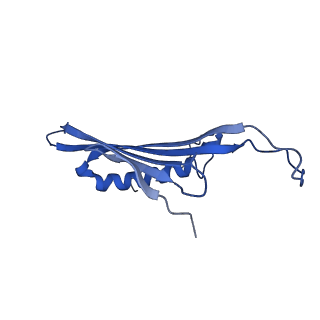 41443_8toc_BY_v1-0
Acinetobacter phage AP205