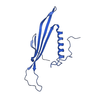 41443_8toc_Bc_v1-0
Acinetobacter phage AP205