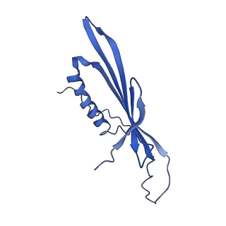 41443_8toc_CE_v1-0
Acinetobacter phage AP205