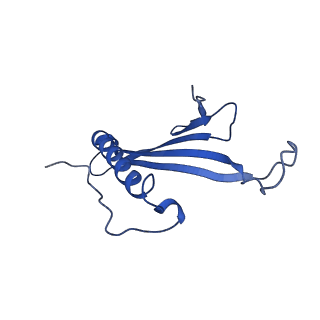 41443_8toc_CH_v1-0
Acinetobacter phage AP205