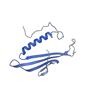 41443_8toc_CK_v1-0
Acinetobacter phage AP205