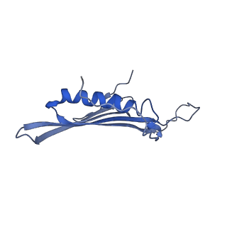 41443_8toc_CN_v1-0
Acinetobacter phage AP205