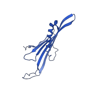 41443_8toc_CW_v1-0
Acinetobacter phage AP205